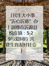 民生大小事 “沂心沂意”办丨淄博市沂源县悦庄镇：5·29与爱同行 共建生育友好社会